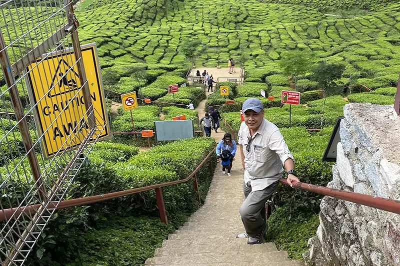 Private Transfer from Kuala Lumpur to Cameron Highlands Taxi Service 4 Mr. Anuar, a friendly My Little Taxi driver, waiting for passengers at Cameron Valley Tea Plantation during a private transfer from Kuala Lumpur to Cameron Highlands.